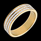 Ring Feinheiten