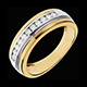 Anillo micaron