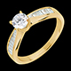 Ring nach Ma� 30279