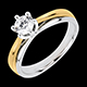 Anello su misura 31002