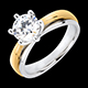 Anillo a medida 31003