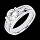 Anillo a medida 31172