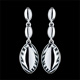Boucles d'oreilles Zebra 2