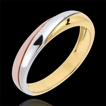 Alliance Eternity 3 ors
