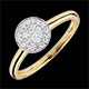 Anillo Mi Constelaci�n Bicolor