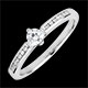 Anello Solitario Divina 4 griffe