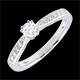 Anello solitario Garlane 8 diamanti - 0.19 carati
