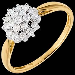 <a href=http://de.edenly.com/ringe-breit/ring-kaleidoskop-gelbgold-035-karat-19-diamanten,303,8.html style=color:#fff;text-decoration:none;><u>Ring Kaleidoskop in Gelbgold  - 0.35 Karat - 19 Diamanten</u><br><br><b>930 €</b></a>
