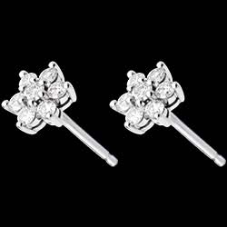 <a href=http://de.edenly.com/ohrstecker-diamanten/ohrstecker-lotusblute-033-karat,436,22.html?liste_cat=22 style=color:#fff;text-decoration:none;><u>Ohrstecker Lotusbl�te - 0.33 Karat</u><br><br><b>690 €</b></a>