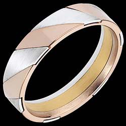 <a href=http://en.edenly.com/gold-wedding-ring-man/volte-face-ring,1057,30.html?liste_cat=30 style=color:#fff;text-decoration:none;><u>Volte-Face Ring</u><br><br><b>� 1009</b></a>