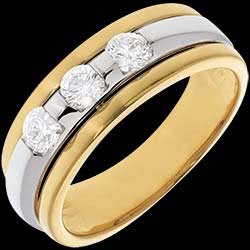 <a href=http://en.edenly.com/rings-large/trilogy-eclipse-yellow-gold-white-gold-44-carat-3d,22,8.html?liste_cat=6X7X8 style=color:#fff;text-decoration:none;><u>The Eclipse - Three stone Trilogy - yellow gold-white gold - 0.44 carat - 3diamonds</u><br><br><strike>� 2339</strike> (-52%) <b style=color:#FF9999;>� 1119</b></a>