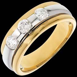 <a href=http://de.edenly.com/trilogie/trilogie-eklipse-weiss-und-gelbgold-059-karat-diam,23,5.html?liste_cat=5 style=color:#fff;text-decoration:none;><u>Trilogie Eklipse in Weiss- und Gelbgold - 0.59 Karat - 3 Diamanten</u><br><br><strike>2880 €</strike> (-48%) <b style=color:#FF9999;>1490 €</b></a>
