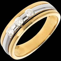 <a href=http://en.edenly.com/rings-large/trilogy-eclipse-yellow-gold-white-gold-24-carat-3d,21,8.html?liste_cat=6X7X8 style=color:#fff;text-decoration:none;><u>The Eclipse - Three stone Trilogy - yellow gold-white gold - 0.24 carat - 3diamonds</u><br><br><strike>� 1359</strike> (-45%) <b style=color:#FF9999;>� 749</b></a>