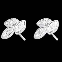 <a href=http://de.edenly.com/ohrstecker-diamanten/ohrstecker-bouquet-weissgold,1508,22.html?liste_cat=22 style=color:#fff;text-decoration:none;><u>Ohrstecker Bouquet in Wei�gold </u><br><br><strike>450 €</strike> (-24%) <b style=color:#FF9999;>340 €</b></a>