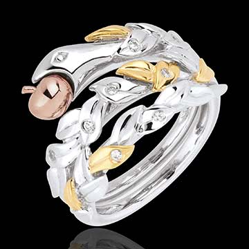 <a href=http://it.edenly.com/anelli-larghi/anello-frutto-proibito,4007,8.html?url=anelli&liste_cat=6X7X8X32X33X35X43 style=color:#fff;text-decoration:none;>Anello Frutto Proibito <br><b>1450 €</b></a>
