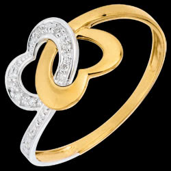 <a href=http://en.edenly.com/rings-fine/ap2202-ring-coeurs-lies-deux-ors,2202,7.html?liste_cat=6X7X8 style=color:#fff;text-decoration:none;><u>Ring By Heart</u><br><br><strike>� 249</strike> (-27%) <b style=color:#FF9999;>� 179</b></a>