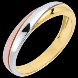 <a href=http://www.edenly.com/alliance-or-homme/alliance-eternity-3-ors-18k,623,30.html?url=alliance-or-homme&liste_cat=30 style=color:#fff;text-decoration:none;>Alliance Eternity 3 ors <br><b style=color:#FFE492;>390 €</b> (-32%) </a>