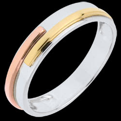 <a href=http://www.edenly.com/alliance-or-femme/alliance-titan-blanc-ors,736,11.html?liste_cat=11 style=color:#fff;text-decoration:none;><u>Alliance Titan Blanc 3 ors</u><br><br><b>570 €</b></a>