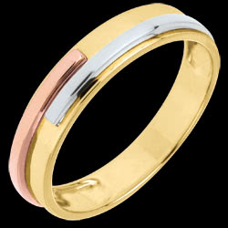 <a href=http://www.edenly.com/alliance-or-homme/alliance-titan-jaune-ors,737,30.html?url=alliance-or-homme&liste_cat=30 style=color:#fff;text-decoration:none;>Alliance Titan - 3 ors jaune <br><b>220 €</b></a>