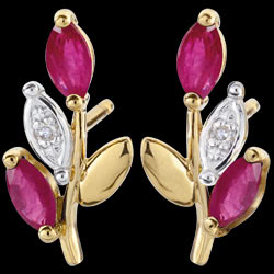 <a href=http://es.edenly.com/pendientes-cortos/pendientes-florina-rubies,2409,22.html?url=pendientes&liste_cat=20X22X24X23X38X44 style=color:#fff;text-decoration:none;>Pendientes Florina - rub�es <br><b>150 €</b></a>
