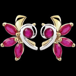 <a href=http://de.edenly.com/ohrstecker-diamanten/ohrstecker-alegria-rubin,2438,22.html style=color:#fff;text-decoration:none;>Ohrstecker Alegria - Rubin <br><b style=color:#FFE492;>170 €</b> (-26%) </a>