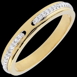 <a href=http://www.edenly.com/alliance-or-diamant/bague-promesse-feerique-diamant-deux-ors-petit-modele-18k,2671,10.html?url=alliance-mariage-or-diamant&liste_cat=9X10X11X30X41X36X34X37X31 style=color:#fff;text-decoration:none;>Bague Promesse f�erique - deux ors et diamants - petit mod�le <br><b style=color:#FFE492;>450 €</b> (-46%) </a>