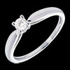 mariages Solitaire roseau or blanc (MM+)