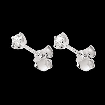   Boucles d'oreilles diamants (MM+) - puces or blanc  - 0.25 carats