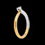 cadeau Solitaire Broche or jaune-or blanc (PM)